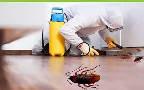 Cockroach Pest Control Hyderabad